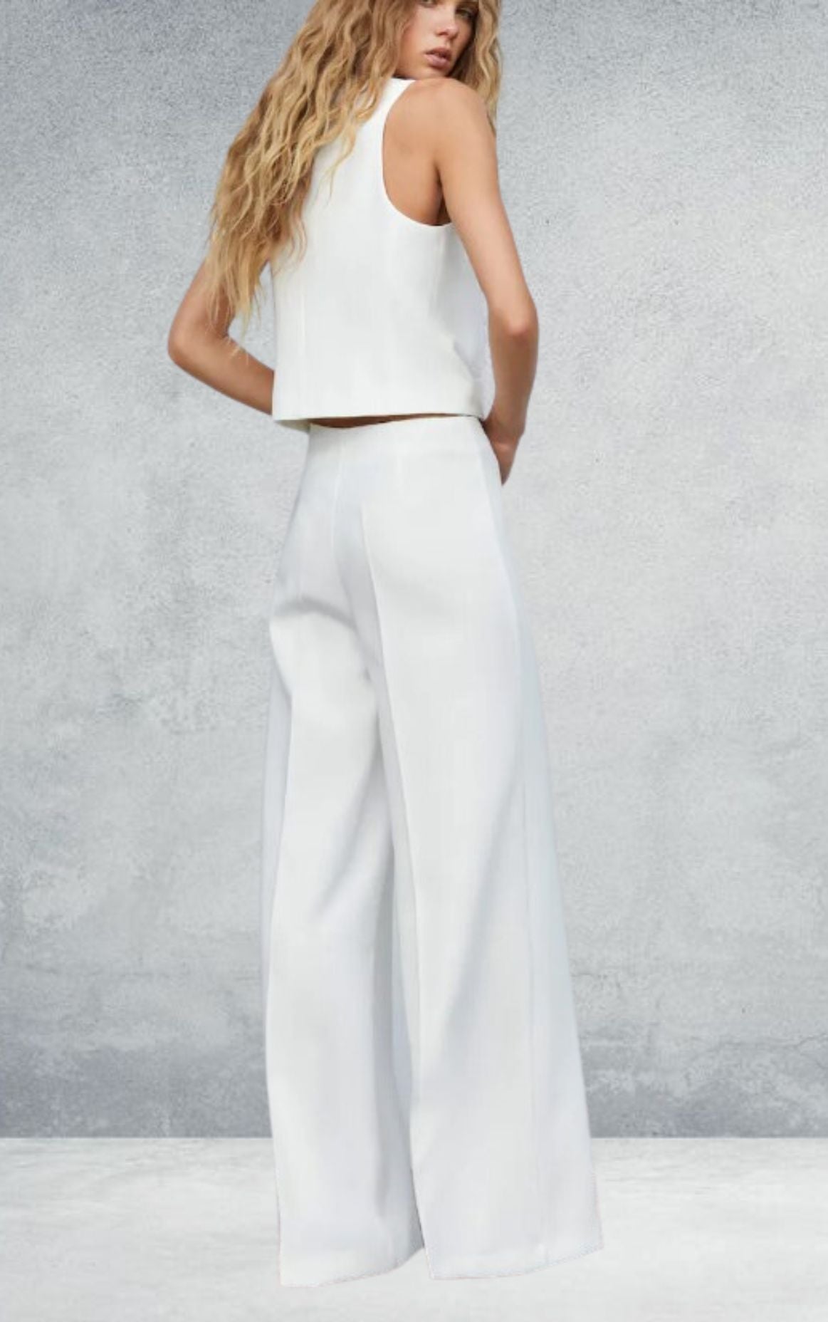 Stardust Serenade Tailored Wide Leg Pants